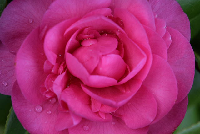 Nikon D3300 sample image