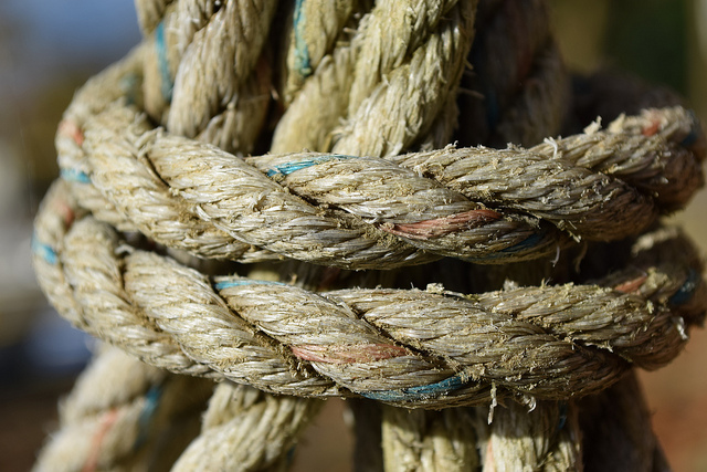 Nikon D5300 sample image