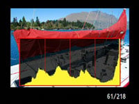 Nikon D60 - brightness histogram