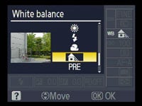 Nikon D60 - white balance