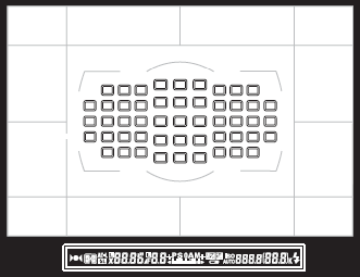 Nikon D700 viewfinder image