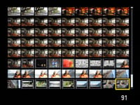 Nikon D90 - 72 thumbnails