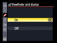 Nikon D90 - viewfinder grid