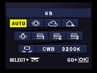 Olympus E-400 White Balance options