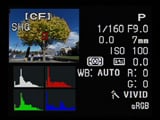 Olympus E410 play RGB histogram
