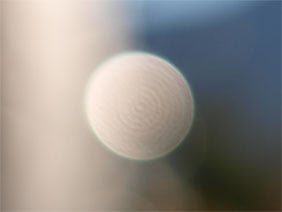 Olympus 25mm bokeh