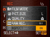 Panasonic L1 RAW option