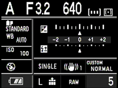 Panasonic L1 shooting information