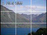 Panasonic L1 Live View grid view