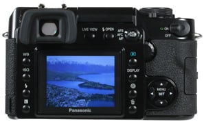 Panasonic L1 rear view