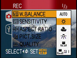 Panasonic DMC-TZ1 white balance