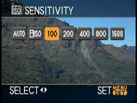 Panasonic L10 - sensitivity