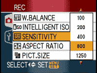 Panasonic FX33 - sensitivity