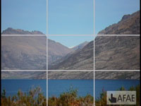 Panasonic FX500 - Grid
