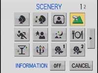 Panasonic FX500 - Scenes