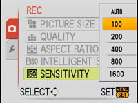 Panasonic FX500 - Sensitivity