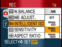 Panasonic FZ18 - intelligent ISO