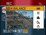 Panasonic FX30 - white balance