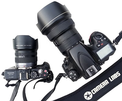 Panasonic GX1 vs Nikon D800