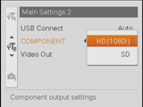 Sony Cyber-shot DSC-H9 HDTV output